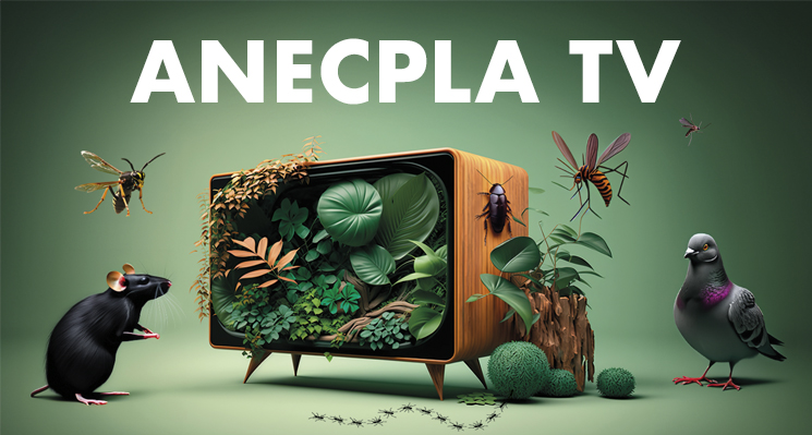 banner Anecpla TV